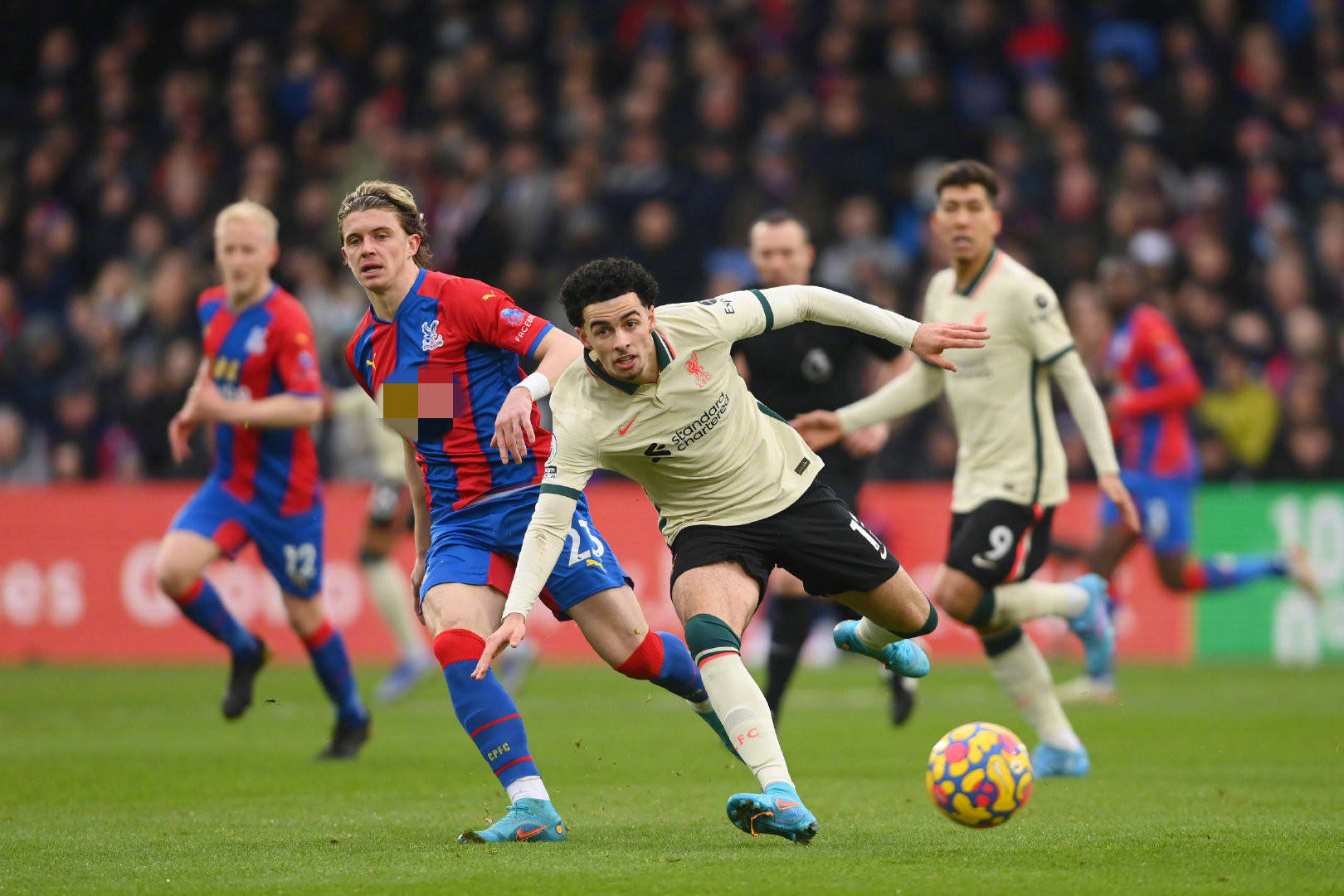 更令人关注 更令人关注